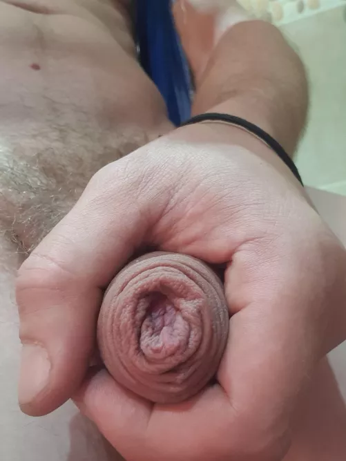Do you like my foreskin?