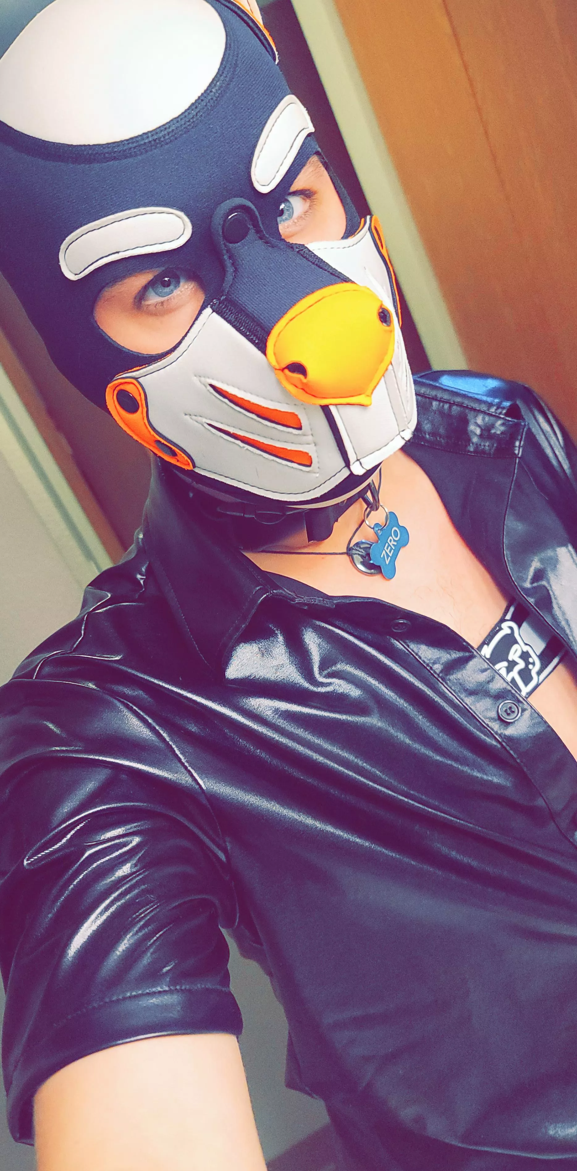 Feeling myself today 🐕