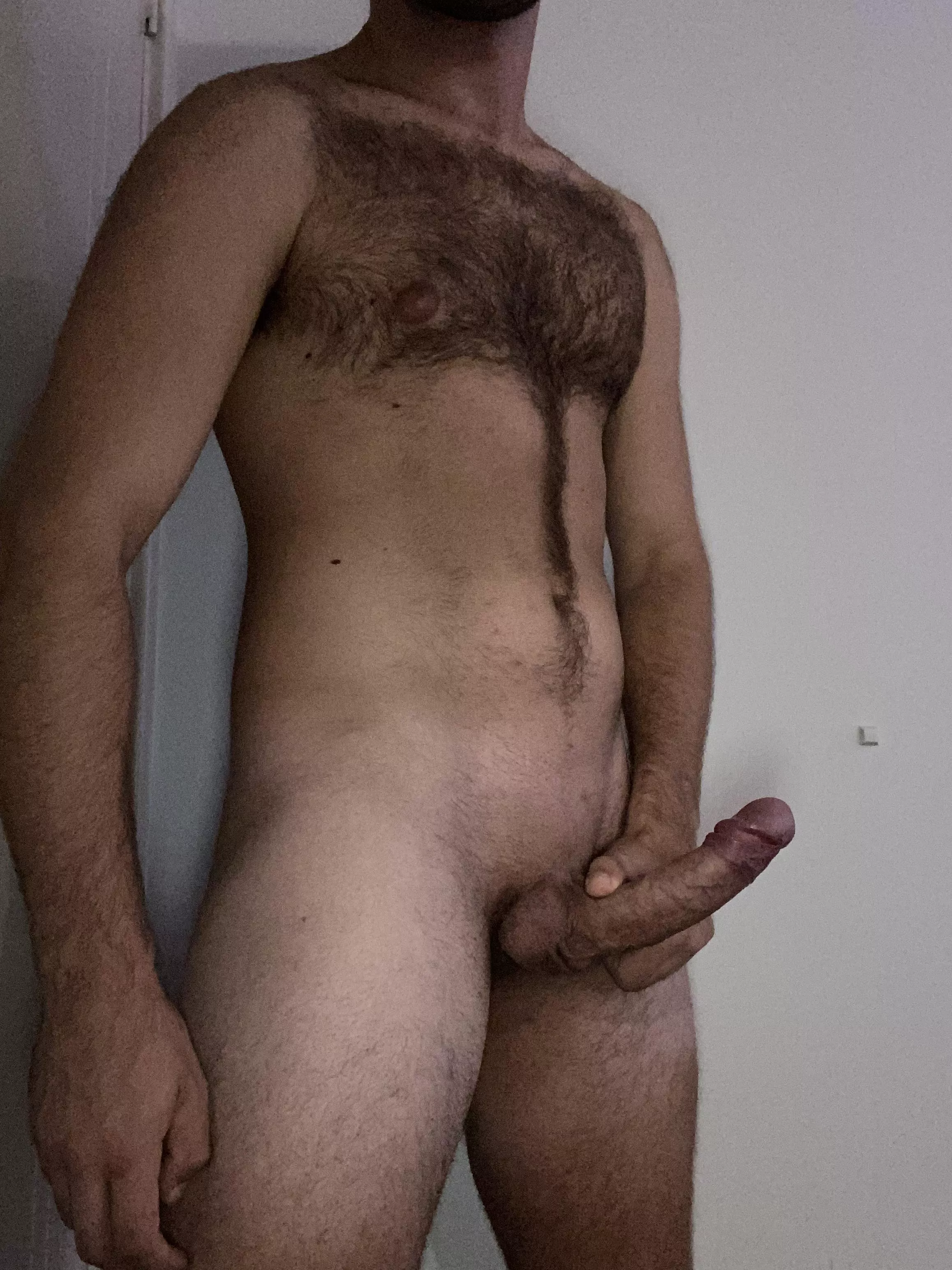 Fresh snail trail 🐌🐌🐌