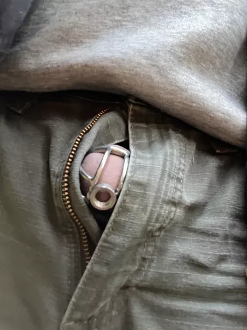 In public, walking dog