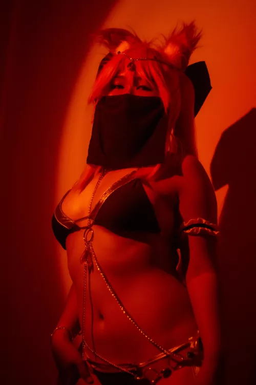 My tamamo fate grand order