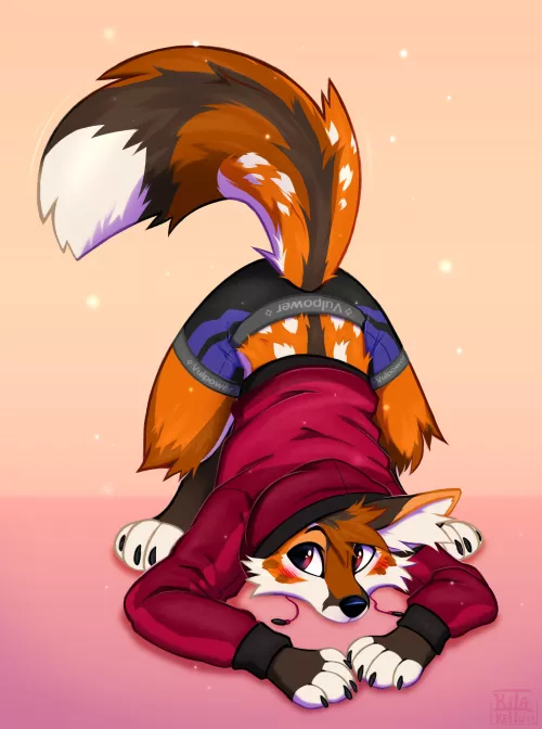 Silly Fox <3 [KitaKettu]