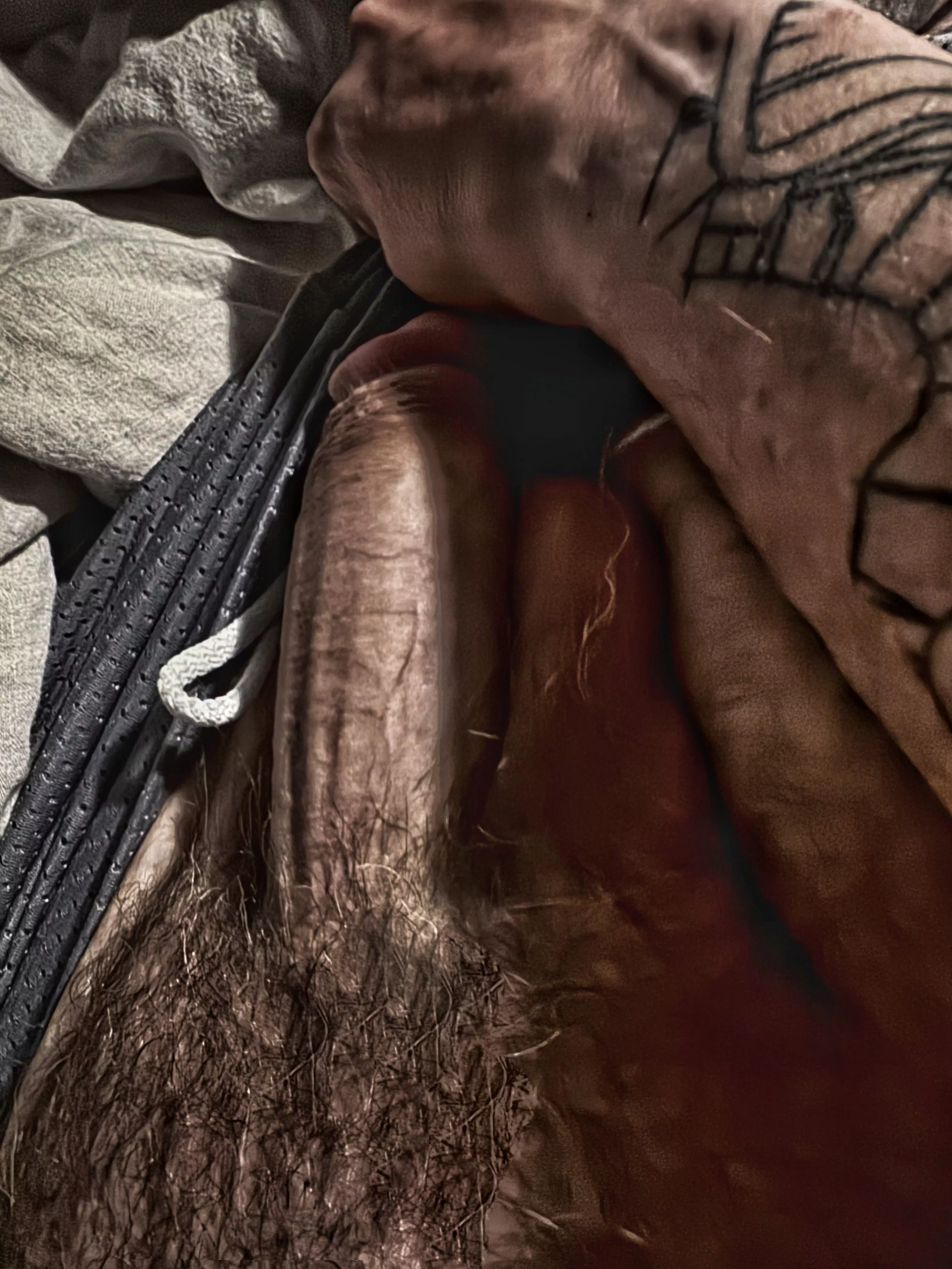 Trimmed but respectable bush