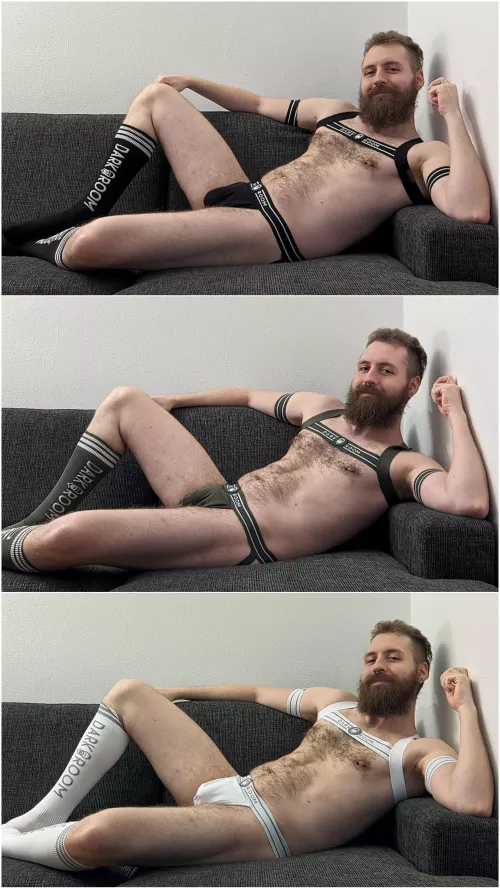 Which is your favourite?