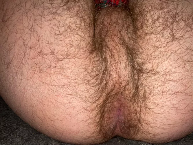 Who’s gonna eat my fuzzy hole😛