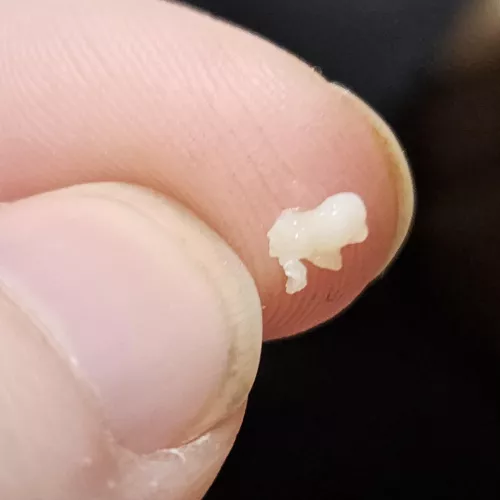 Woah mama I finally got this sucker out after several months