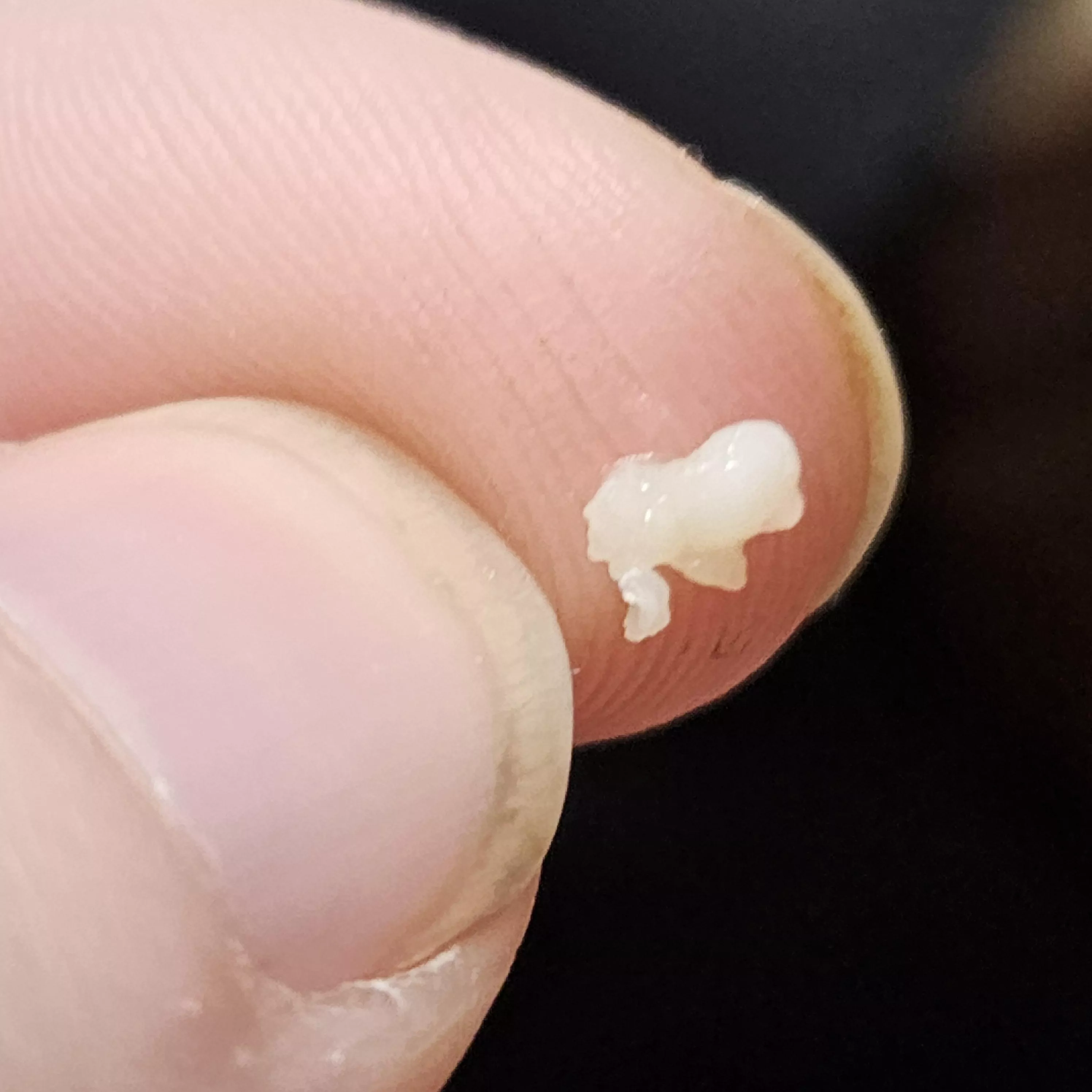 Woah mama I finally got this sucker out after several months