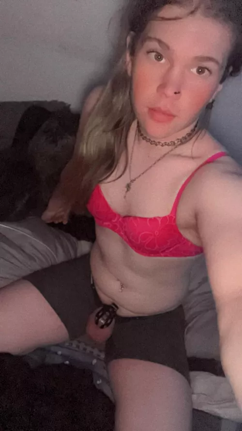 Am I your kind of sissy