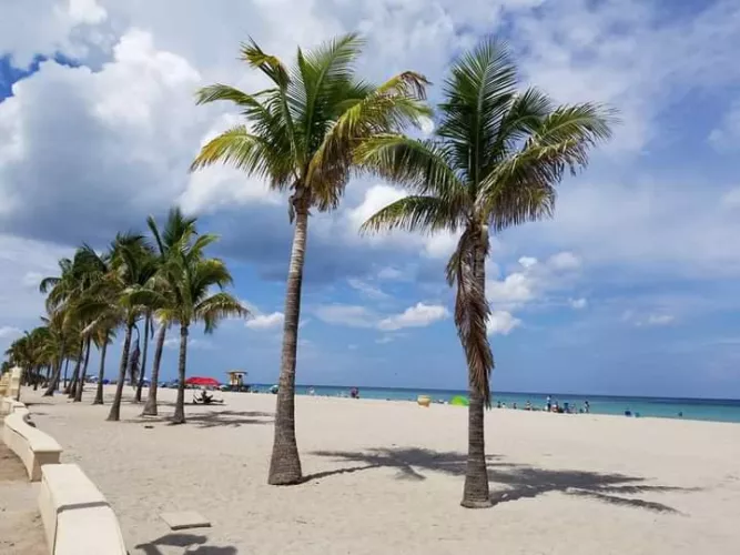 beautiful miami beach