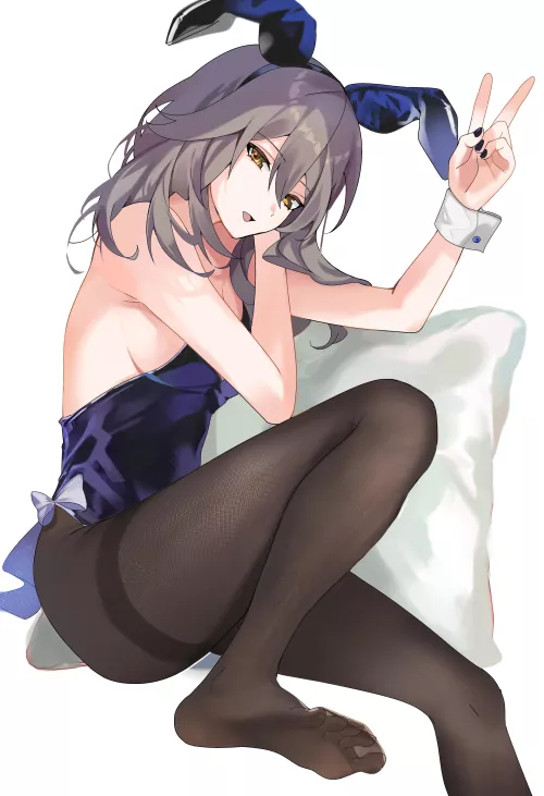 Bunny Stelle [Honkai Star Rail]