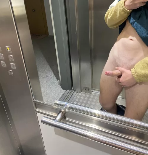 Do you wanna play elevator roulette with me?