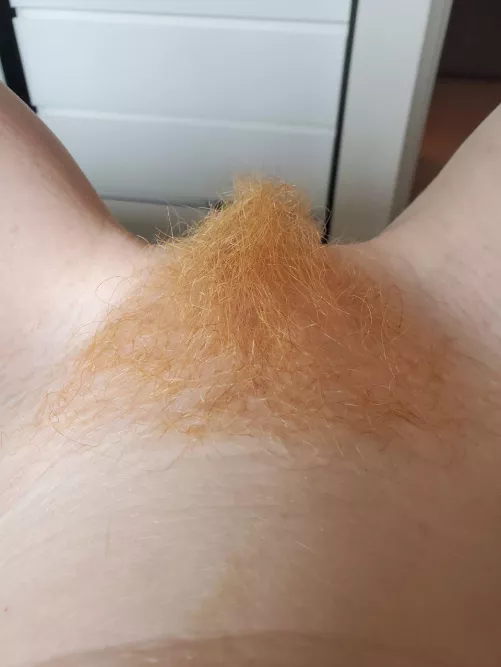 Do you want my ginger pussy 