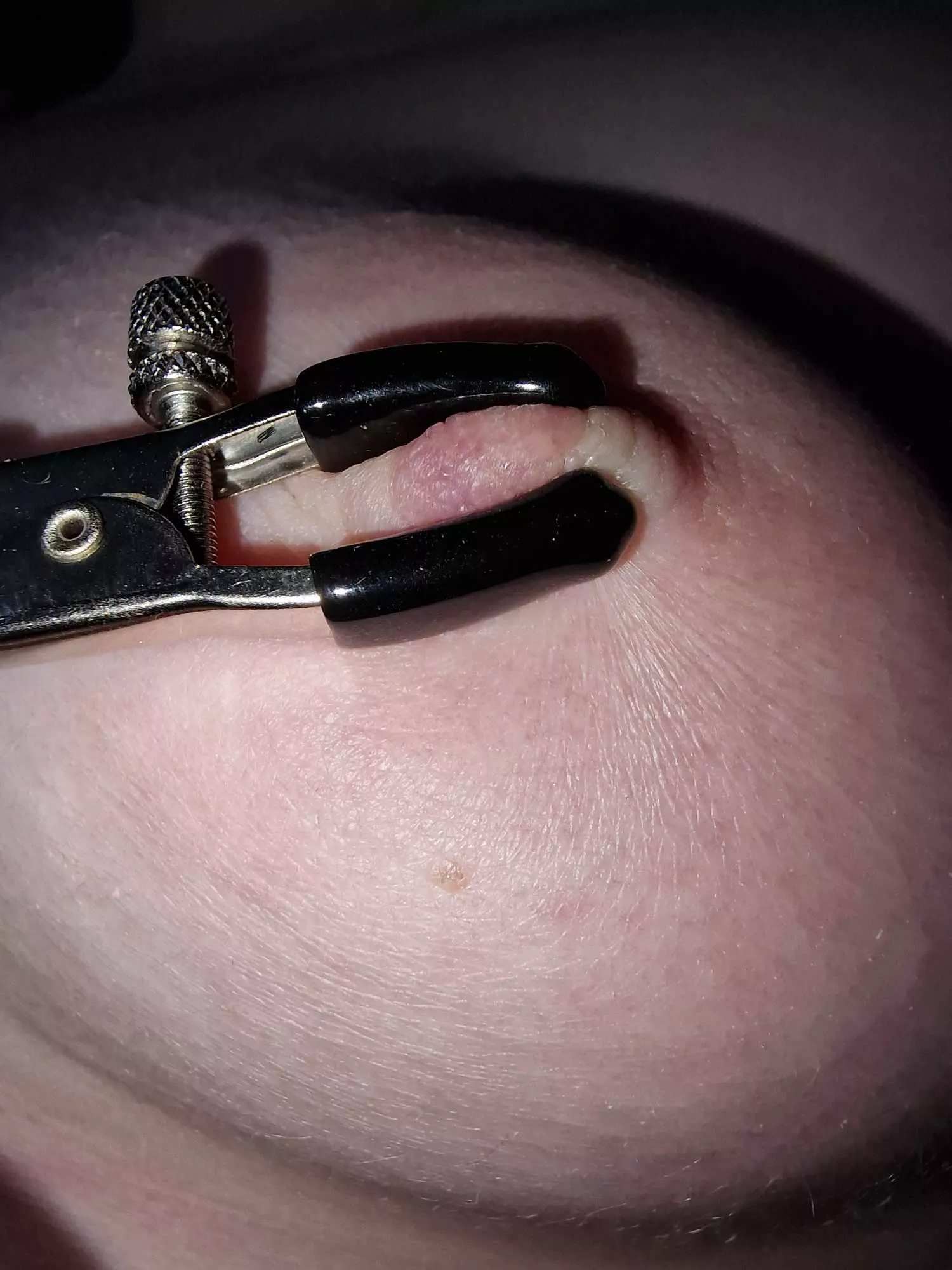 Do you want to play?