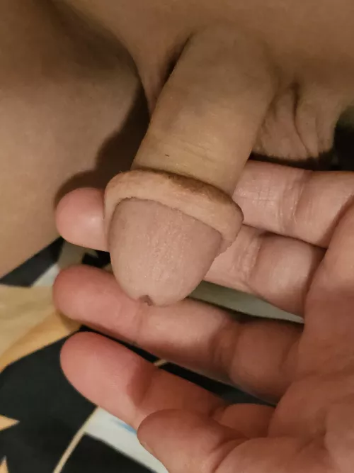 Don't you like my little chode?