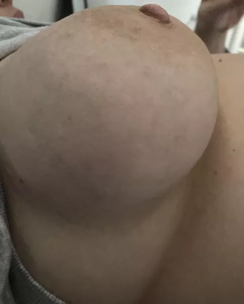 Feeling full this morning 