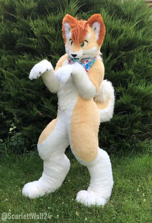 Happy Fursuit Friday!! 🐾🐾