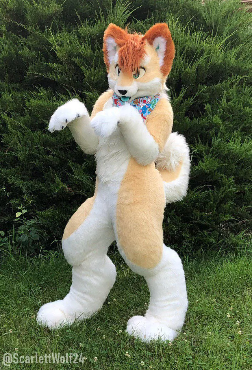 Happy Fursuit Friday!! 🐾🐾