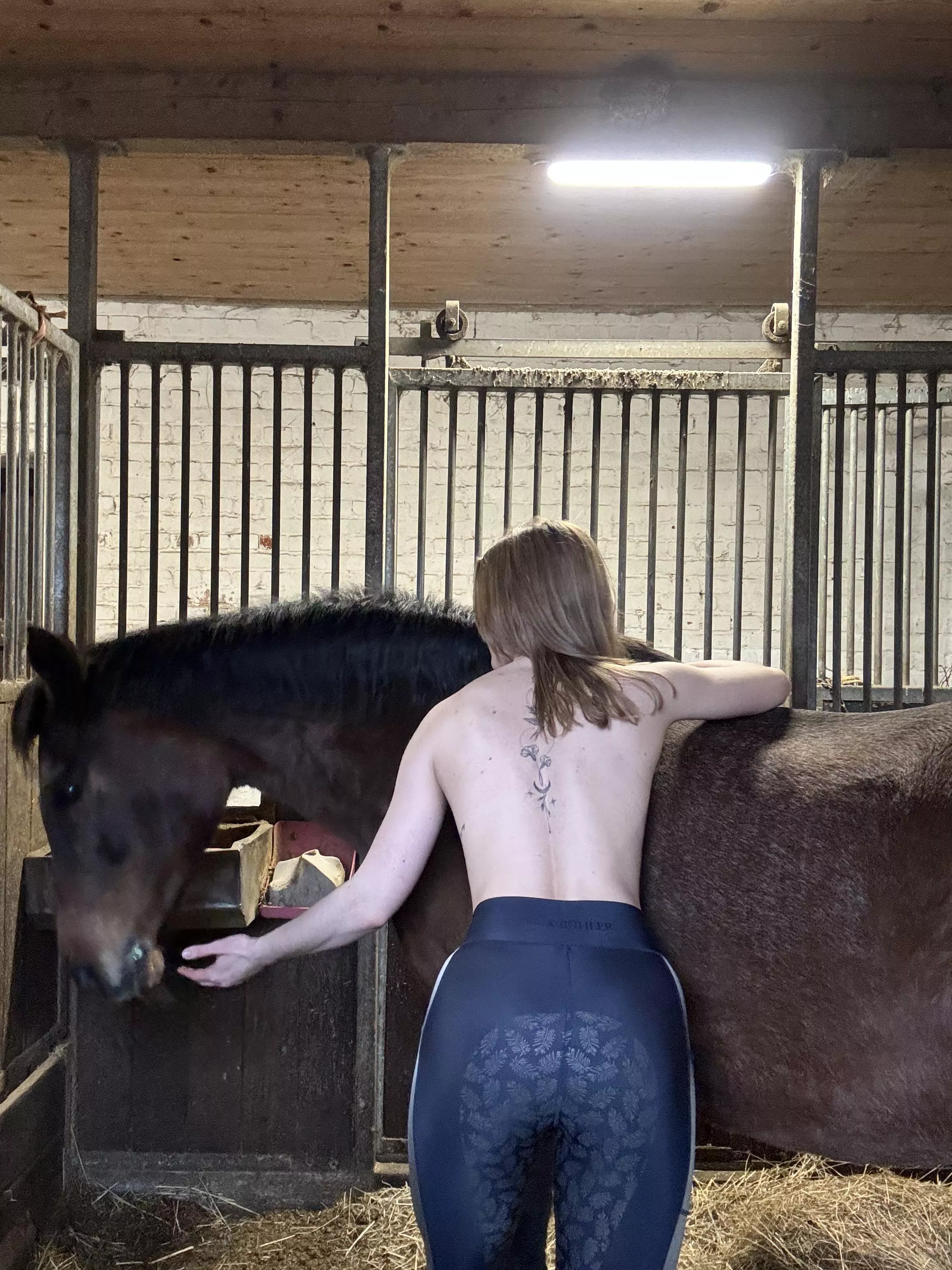 how do you like the stables