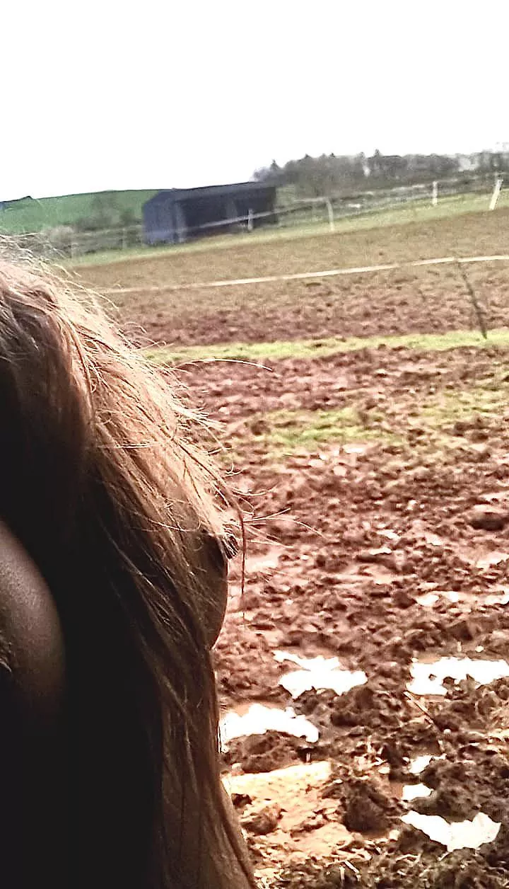 Literally freezing my tits off this morning at the stables 