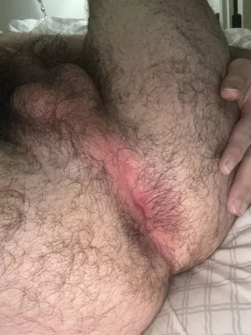 Need some one to breed my hole 