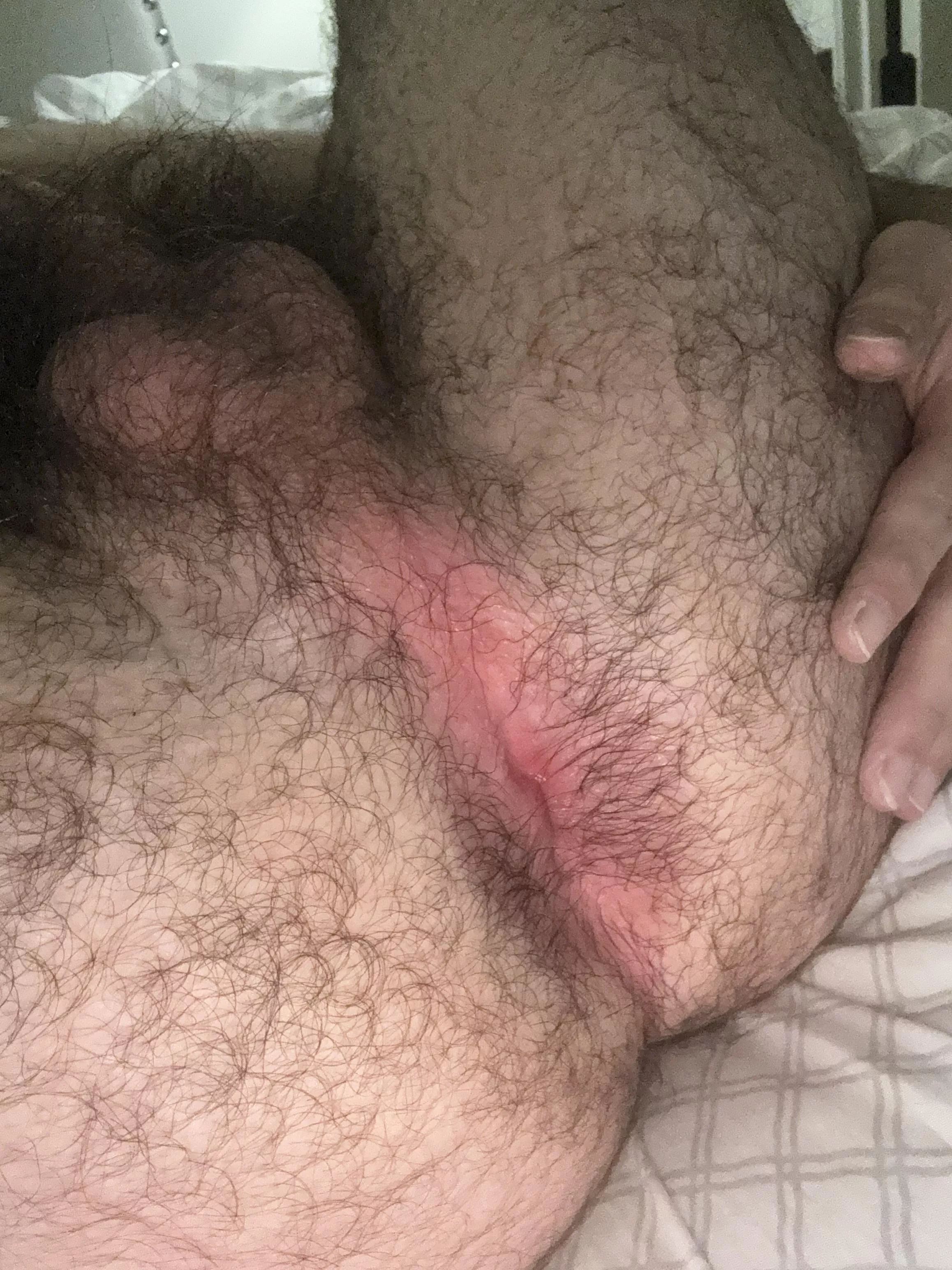 Need some one to breed my hole 