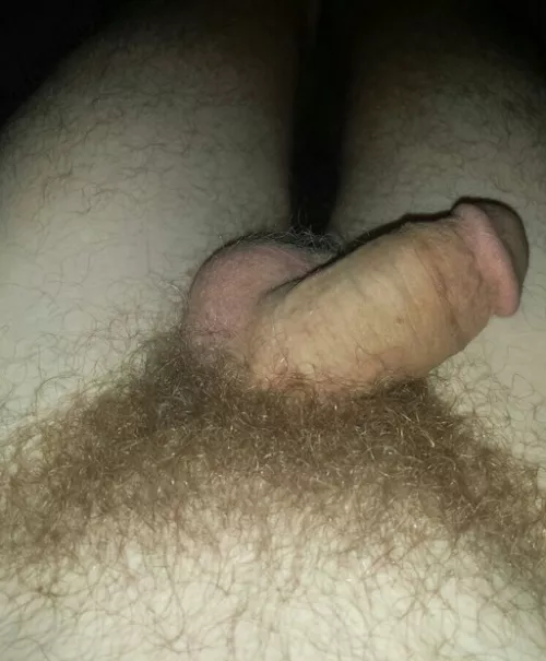 New here!!! 24yo with natural pubes