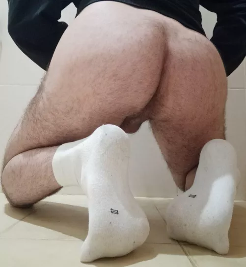 Not so hairy but would love to work on your dick in dm🥴