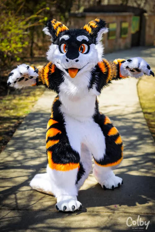 Rawwr!! :>  #FursuitFriday 
