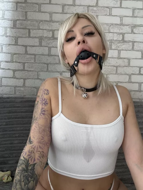 Silence Me, Dominate Me, Own Me