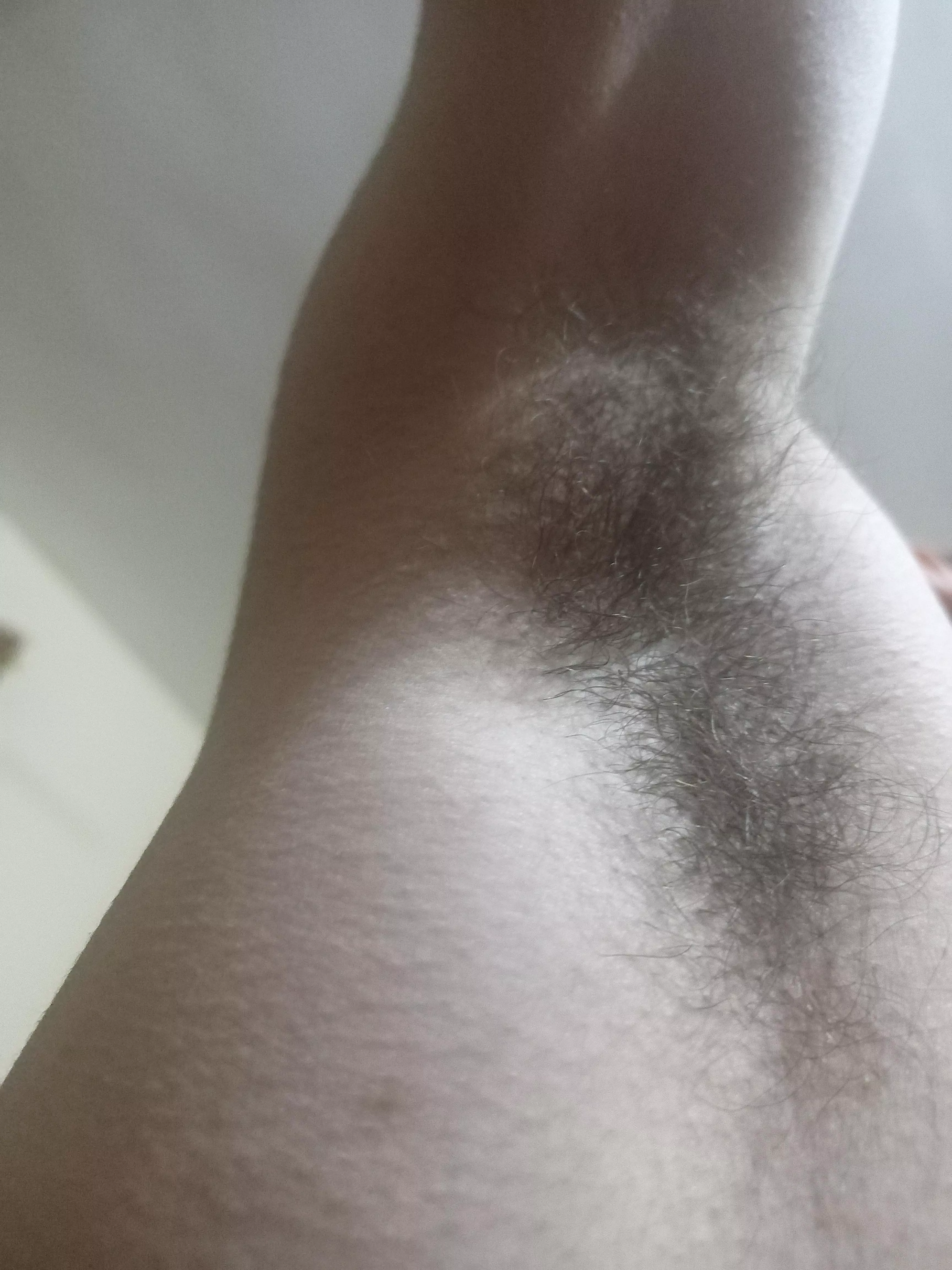 what do you think of my hairy pits? 