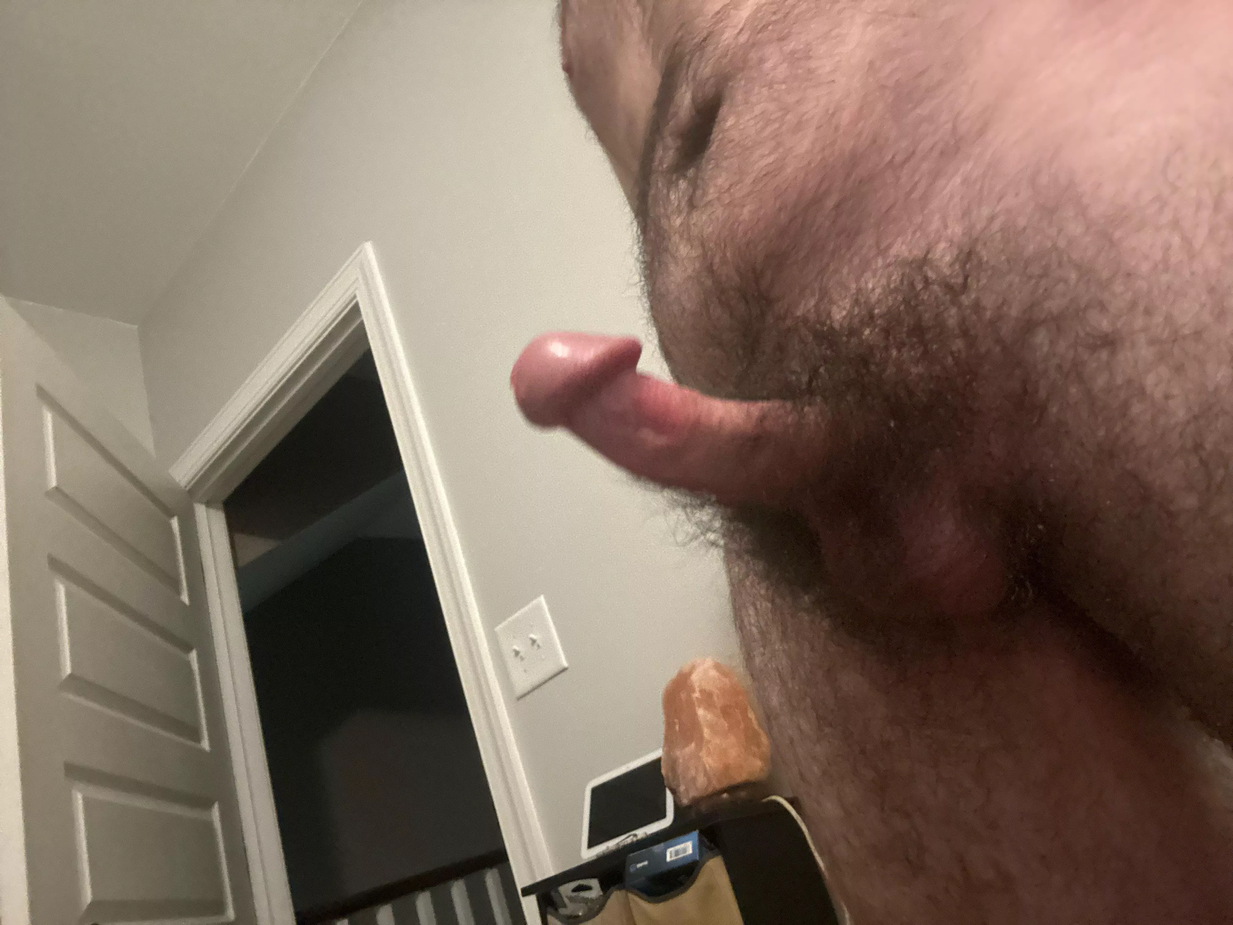 Would you bury your face in my bush 