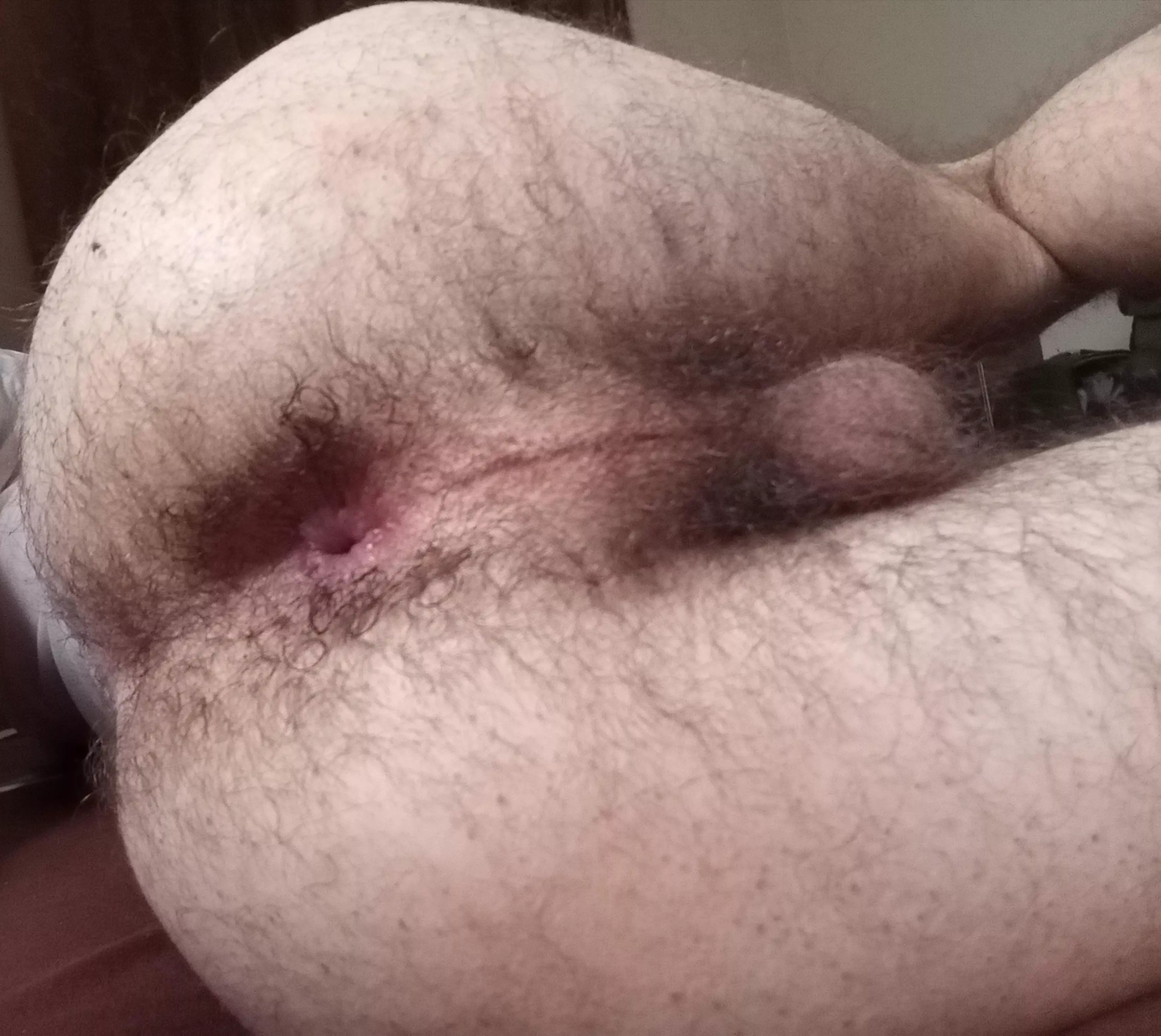 would you play with my hairy ass? 