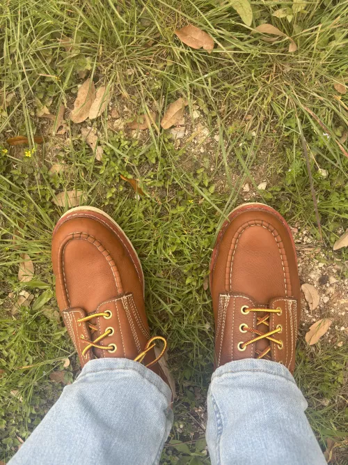 Any love for Rock Roosters around here?