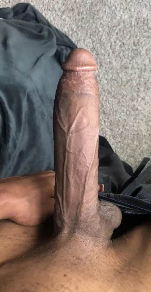 Anyone able to give me some attention tonight?