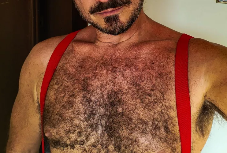 Bear or Otter? Always wondered, never asked.