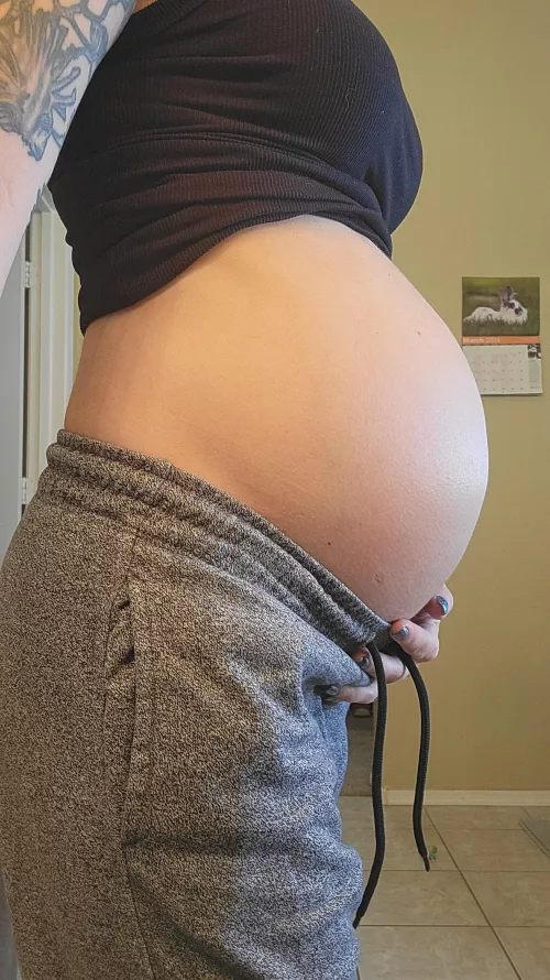 Belly is getting nice and round, who is covering it in a cream pie 👀