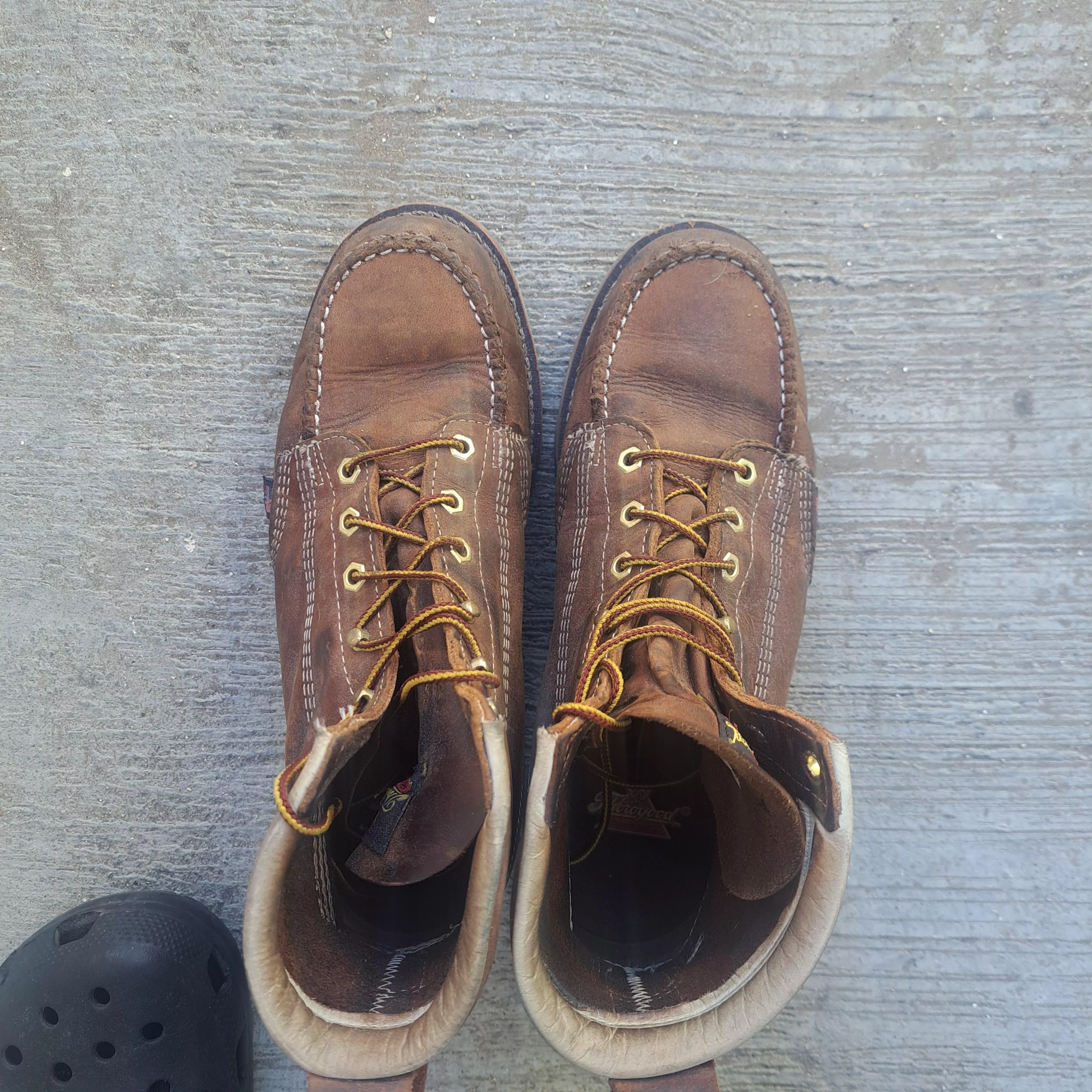 Busting out the thorogoods again, have some questions. 