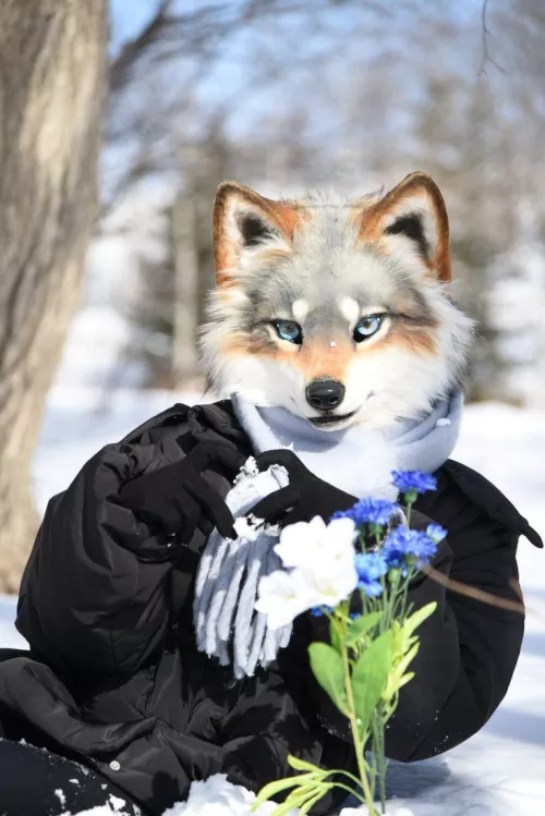 Can someone Tell Me, who is Making them?