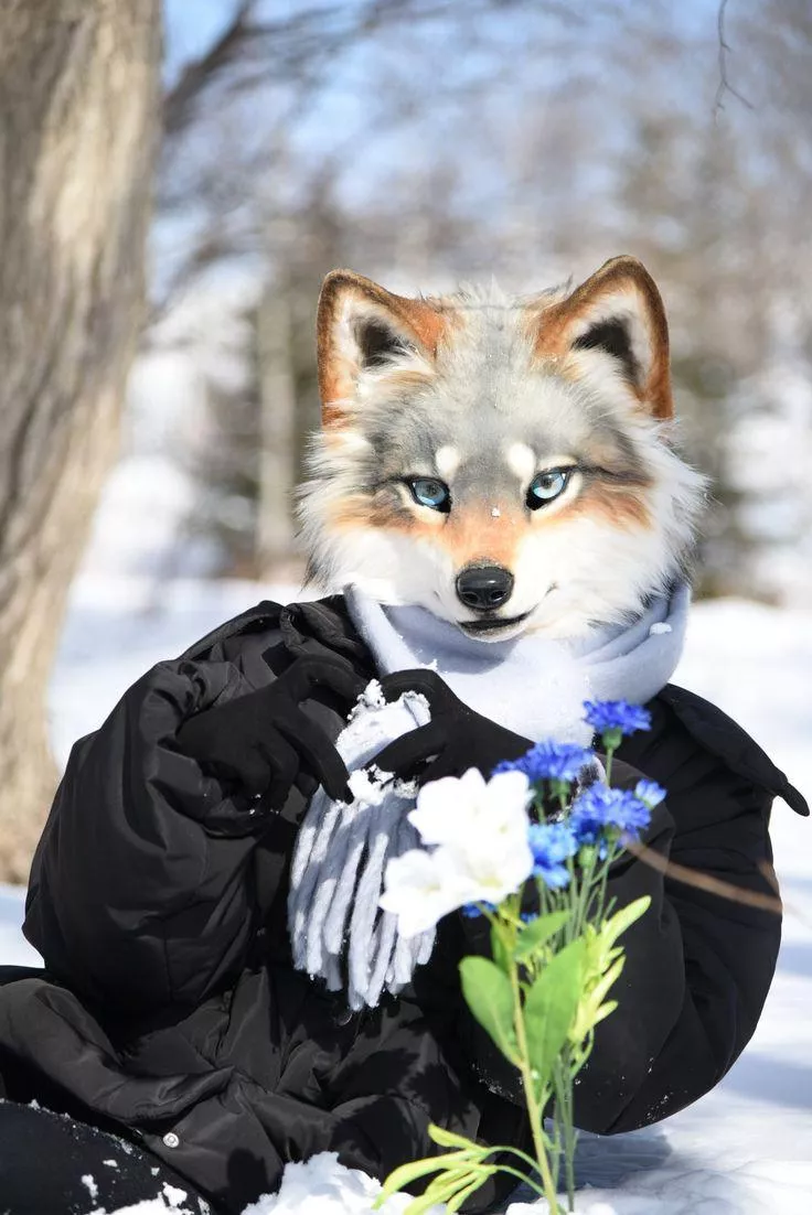 Can someone Tell Me, who is Making them?