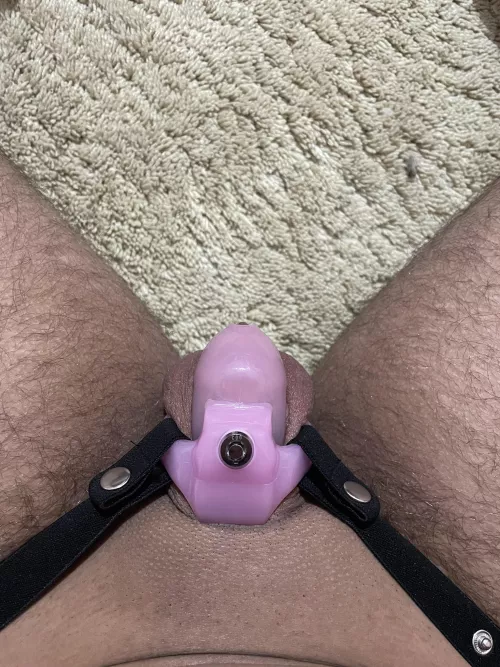 Did I do this right?