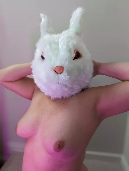 Easter weekend special 