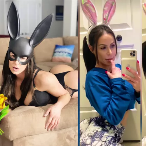 Good Bunny or Bad Bunny? 🐰