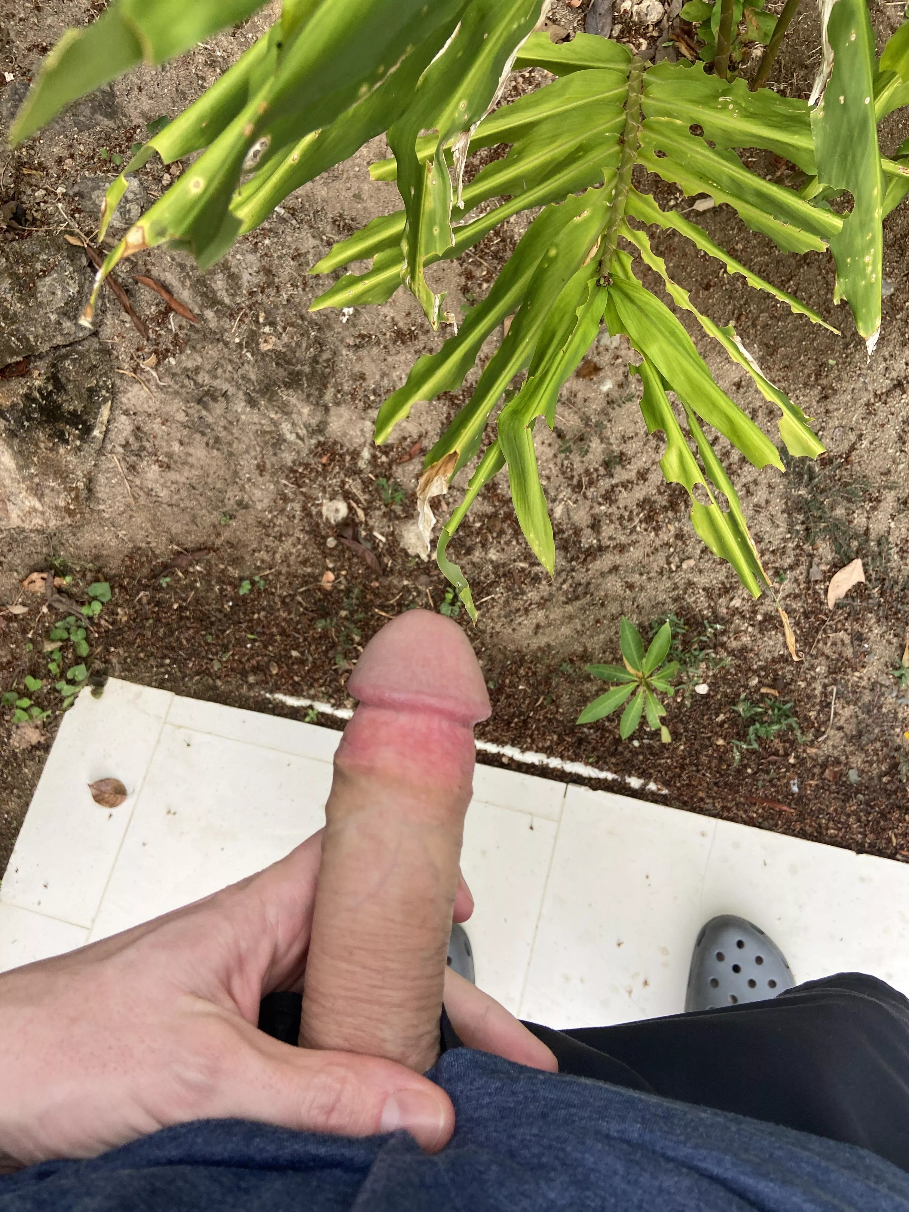 Gotta whip it out on vacation