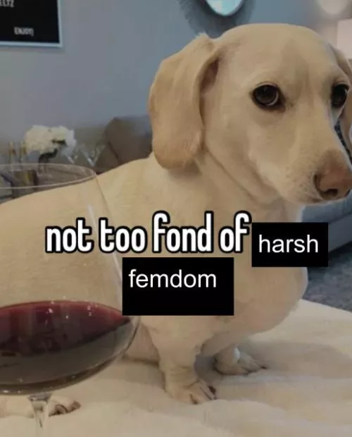 I'm not too fond of it