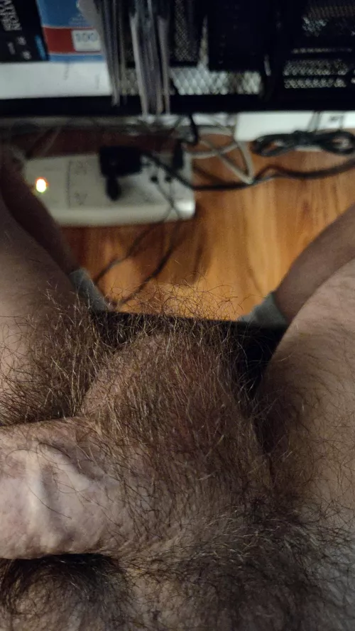 Just some hairy balls 