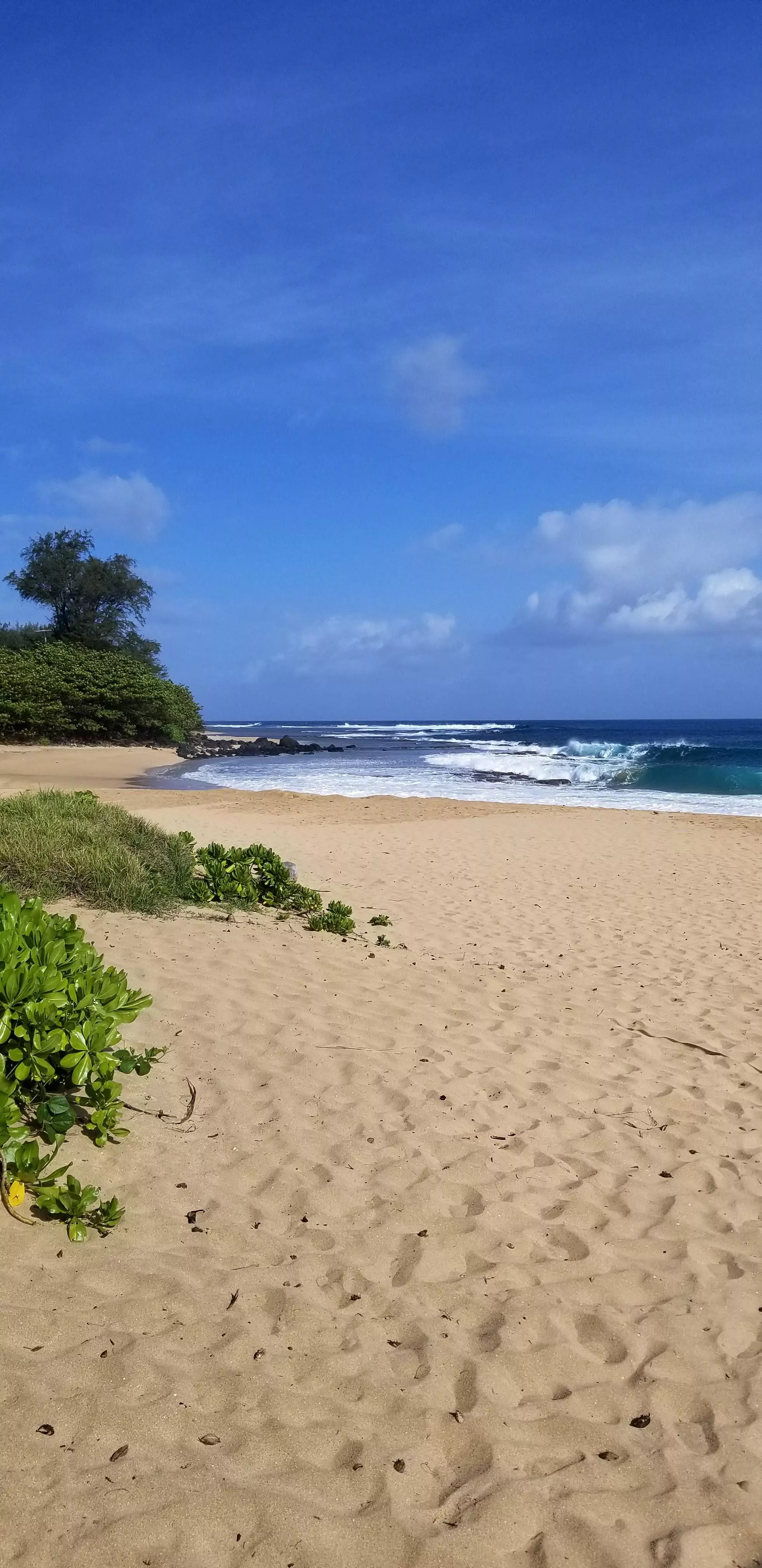 Kauai