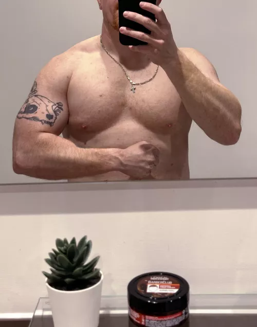 Meet my friend, Frank, the fake plant 😃