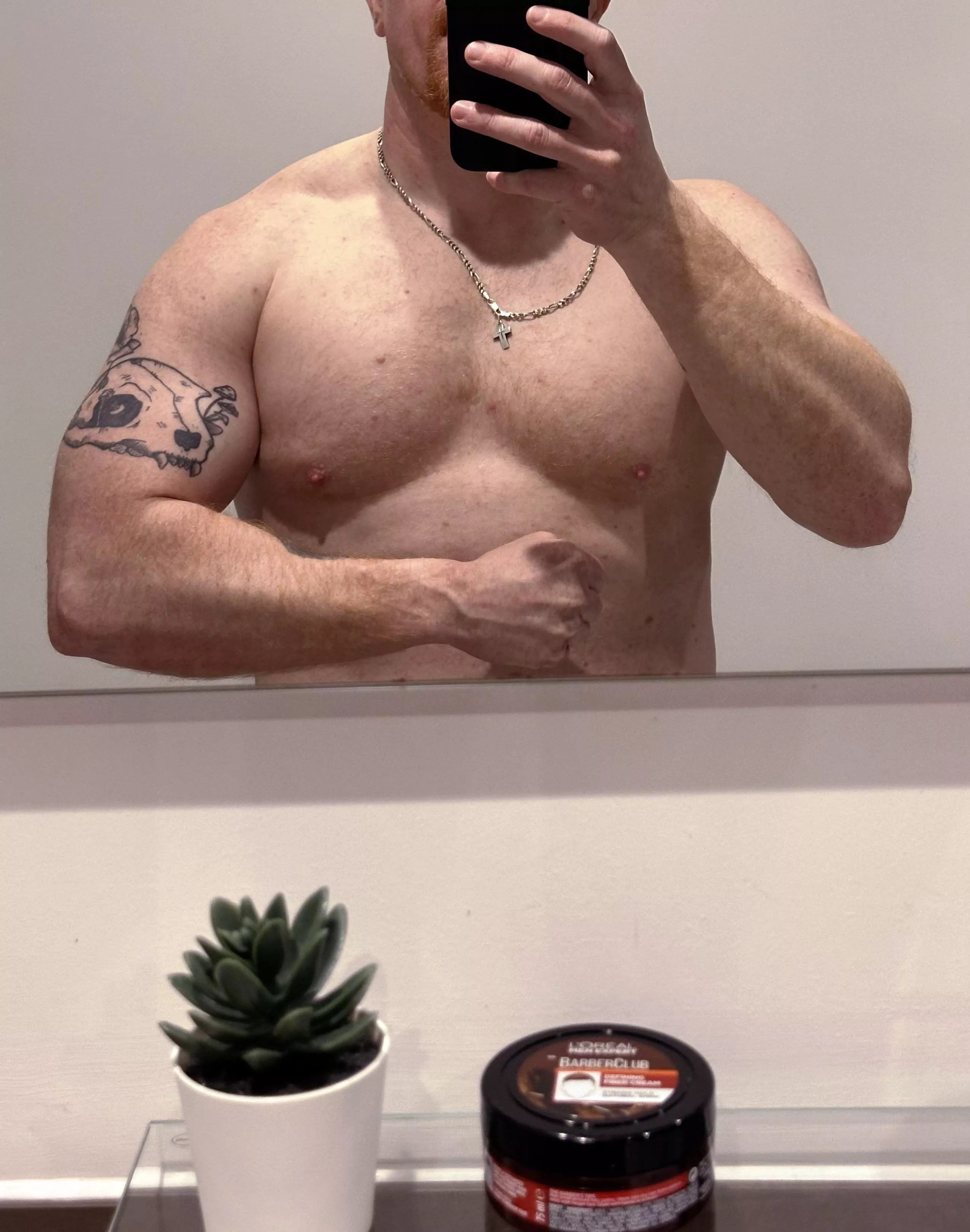 Meet my friend, Frank, the fake plant 😃