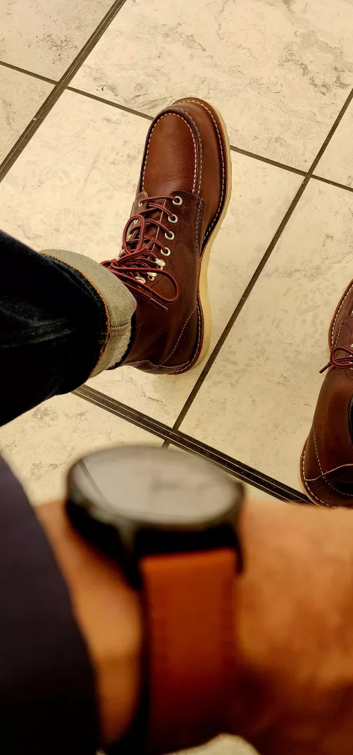 Moc toes on the prowl.