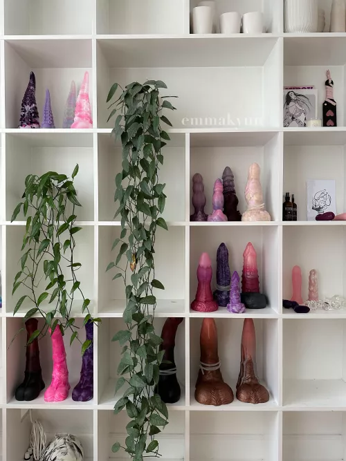 pleasure collection 💖